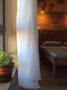 Фридом Веселовка - 168