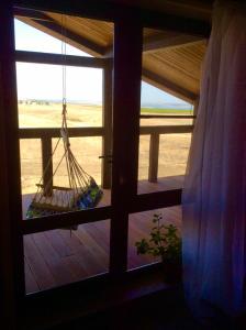 Фридом Веселовка - 167