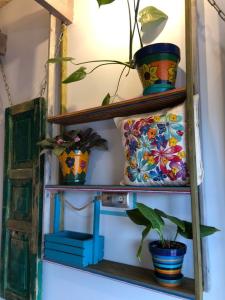 Фридом Веселовка - 186