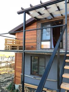 Фридом Веселовка - 193