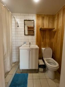 Фридом Веселовка - 208