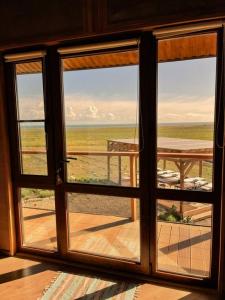 Фридом Веселовка - 213