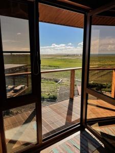 Фридом Веселовка - 212