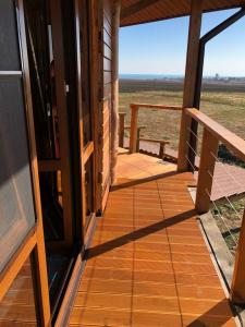 Фридом Веселовка - 227