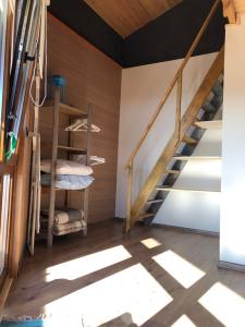 Фридом Веселовка - 217