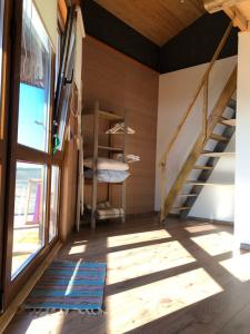 Фридом Веселовка - 225