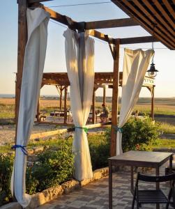 Фридом Веселовка - 239