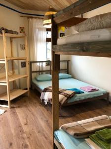 Фридом Веселовка - 229