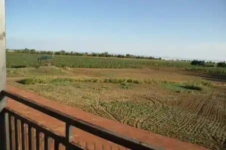 Усадьба Саркел - 33