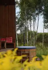 Лаванда - 15