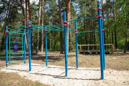 Сосновый Бор - 15
