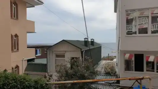 Лагуна Плюс - 60