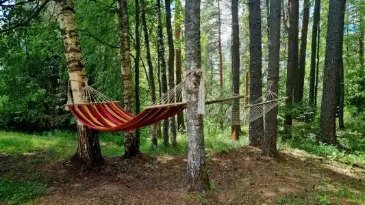 Пространство мечты - 162