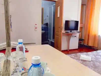Махаон - 19