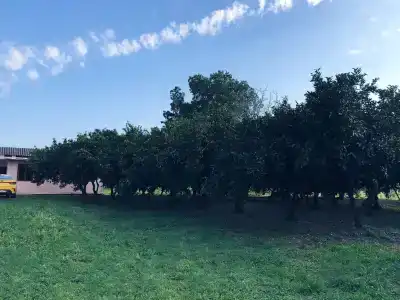 Гостевой дом у Марины - 1