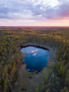 Forest Lake - 5