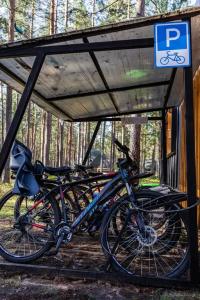Forest Lake - 8