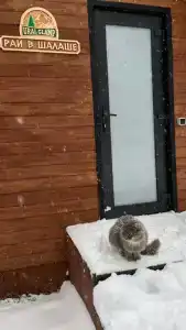 Глэмпинг Ural Glamp - 14