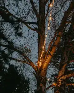 Глэмпинг Ural Glamp - 19