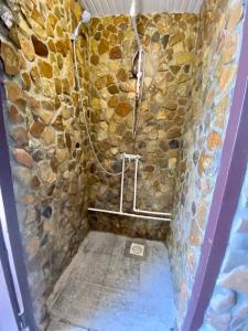 Летний сад - 25