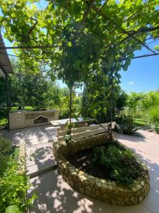 Летний сад - 27