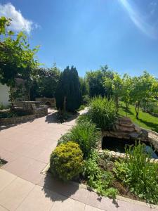 Летний сад - 29