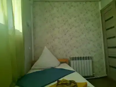 Брусника - 24