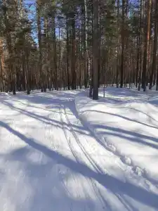 Сегежа - 15