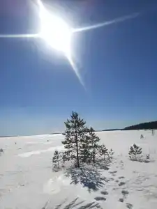 Сегежа - 17