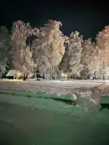 Флигель - 12