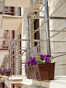 Acropolis Palace - 34