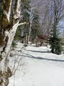 Престиж Наго-Лаки - 4