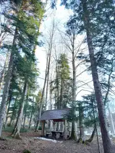 Престиж Наго-Лаки - 9