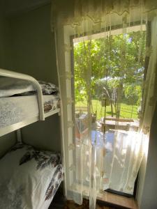 Летний сад - 35