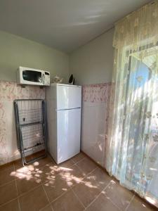 Летний сад - 39