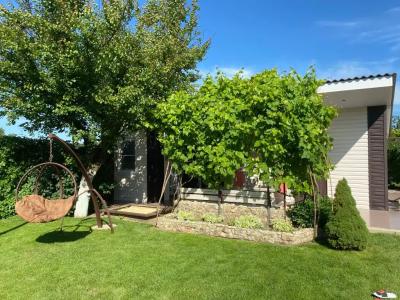 Летний сад - 31