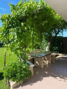 Летний сад - 40