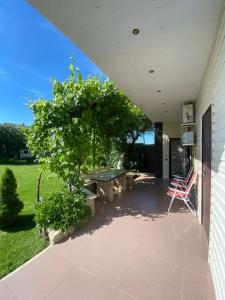 Летний сад - 33