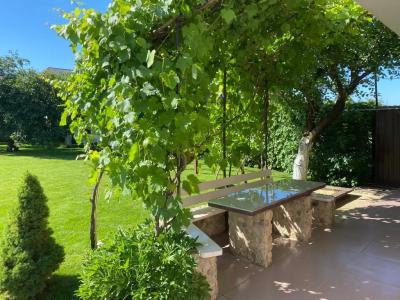 Летний сад - 41