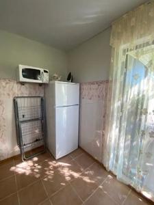 Летний сад - 52