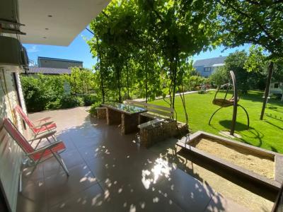 Летний сад - 53