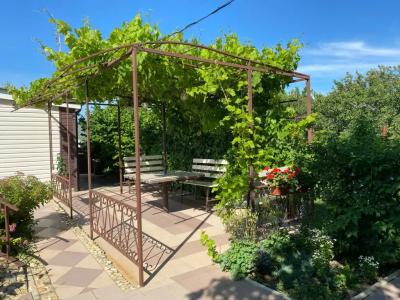 Летний сад - 55