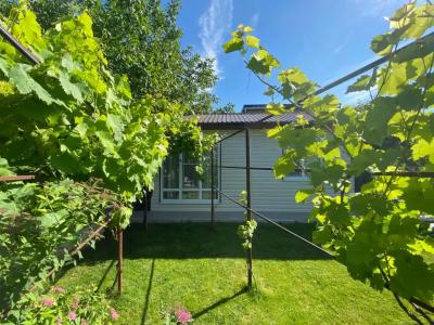 Летний сад - 70