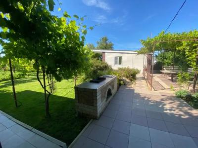 Летний сад - 68