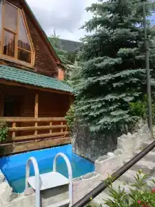 Стелла - 20