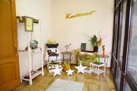 Континент - 6