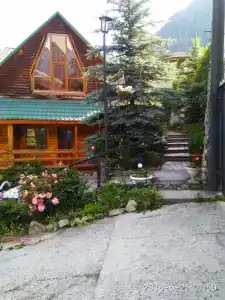 Стелла - 40