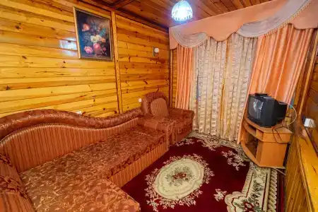 Стелла - 47