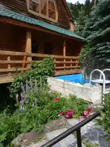 Стелла - 93