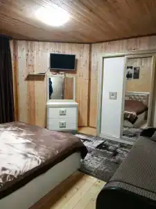 Стелла - 100